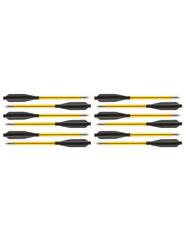 Lot de 12 fléchettes pour pistolet...