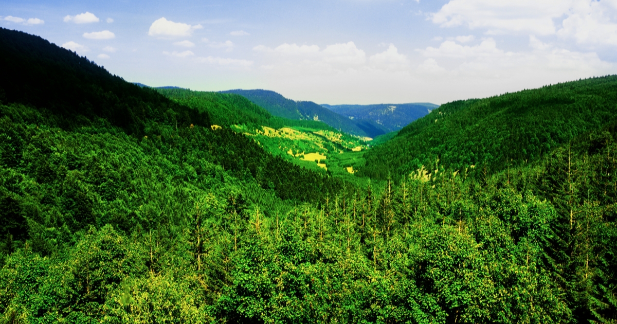 randonnée pédestre dans les Vosges en France